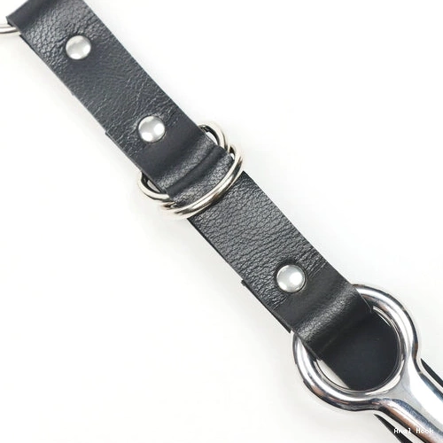 and Leash Anal with Collar 5853 Hook EverydayUse Kinky 0116
